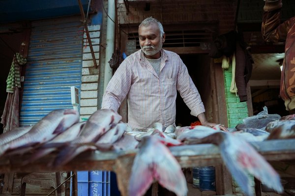 Les stratégies incontournables de diversification financière pour les retraités en 2024 : Optimisez votre avenir financier !