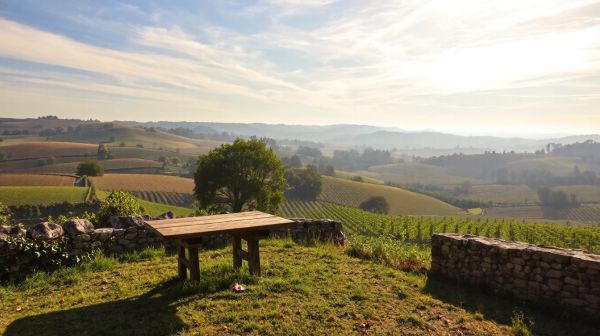 Découvrez les indispensables services des géomètres en Vaucluse